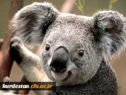 جلسه هم  اندیشی عوامل اجرایی 2