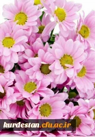 پیام تبریک سالِ نو توسط  ،

دکتر یحیی معروفی،سرپرست دانشگاه فرهنگیان استان کردستان
 2