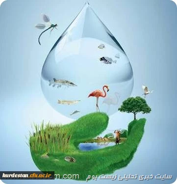 محیط زیست سالم