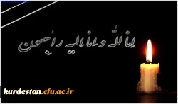 تسلیت به همکار 2