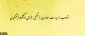 طی حکمی از سوی دکتر مهرمحمدی
انتصاب سرپرست معاونت فرهنگی- اجتماعی دانشگاه فرهنگیان 2