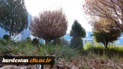 محیط پردیس شهید مدرس