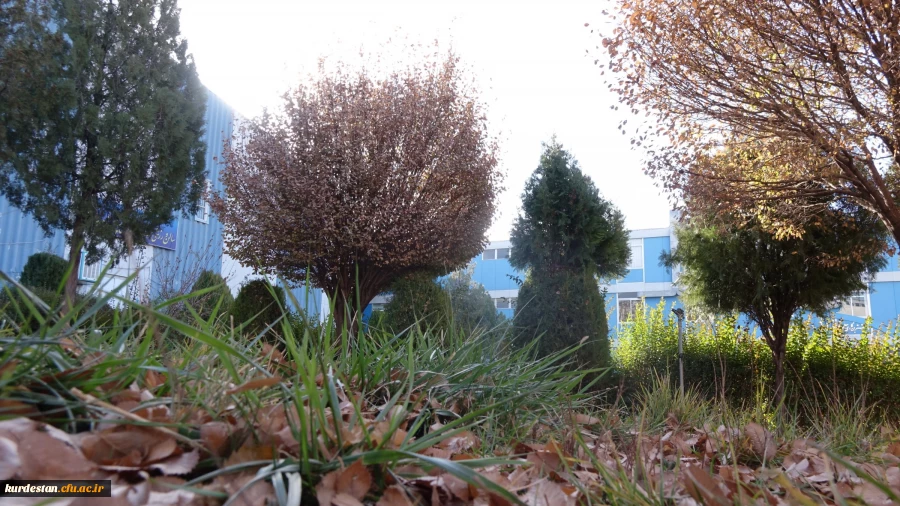 محیط پردیس شهید مدرس