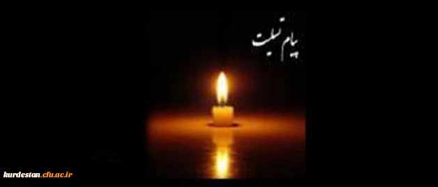 انا لله و انا الیه راجعون

وداع با همسنگر رهبر 2