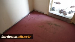 در راستای اقدامات عمرانی انجام شد: 

بازدید دکتر معروفی از مراحل پایانی موکت فرش خوابگاه های  پردیس شهید مدرس 6