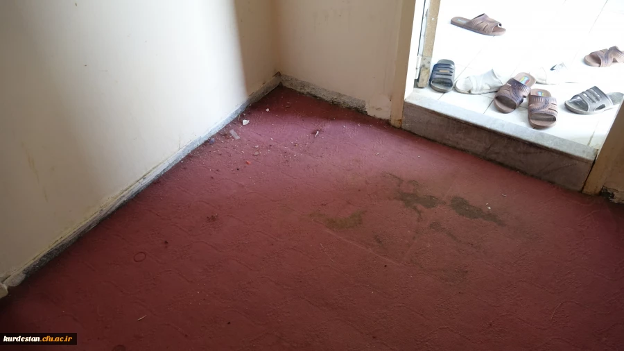 در راستای اقدامات عمرانی انجام شد: 

بازدید دکتر معروفی از مراحل پایانی موکت فرش خوابگاه های  پردیس شهید مدرس 6