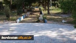 در ابازدید دکتر معروفی انجام شد:

انجام مراحل موزاییک فرش محوطه فضای سبز پردیس بنت الهدی صدر سنندج 2