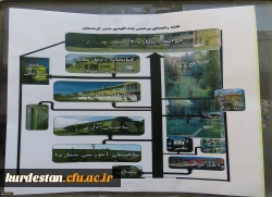 در پردیس بنت الهدی صدر سنندج: 

استقبال از نو دانشجومعلمان به روایت تصویر  8