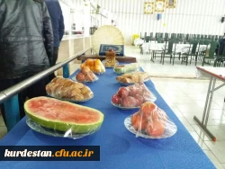 در پردیس شهید مدرس برگزار شد؛

سفره ارایی شب یلدا در دانشگاه فرهنگیان استان کردستان 5