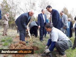 photo_2019-03-11_13-51-26