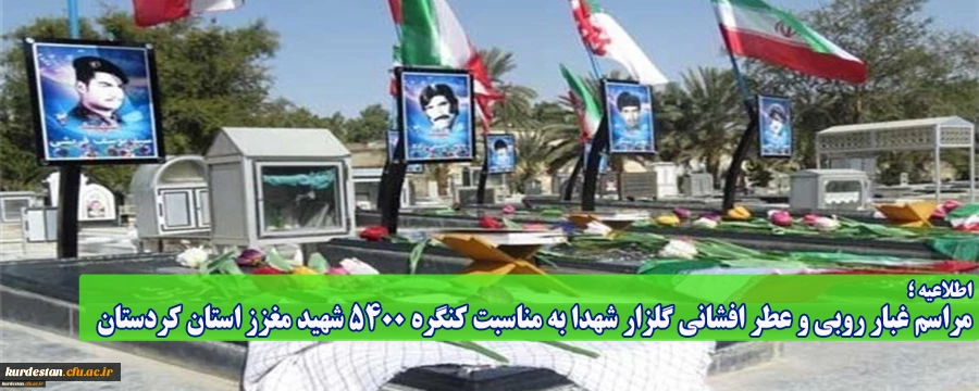 417539_4143297020_2362_945