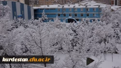 روز برفی دانشگاه  6