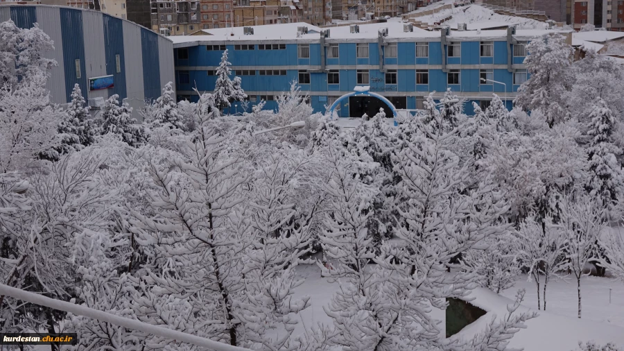 روز برفی دانشگاه  6