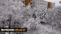 روز برفی دانشگاه  5