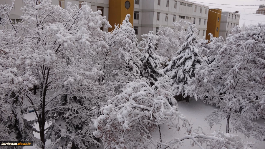 روز برفی دانشگاه  5