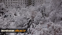 روز برفی دانشگاه  4