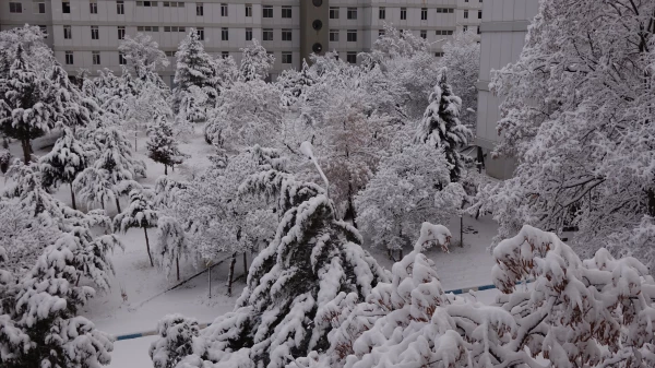 روز برفی دانشگاه  4