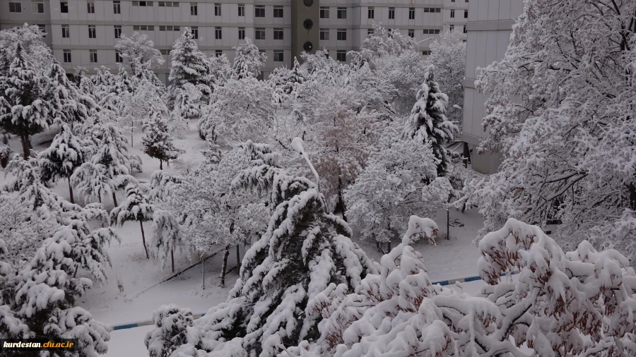 روز برفی دانشگاه  4