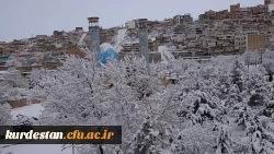 روز برفی دانشگاه  3