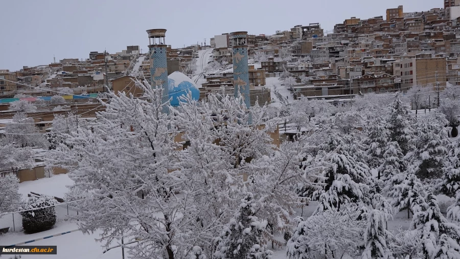 روز برفی دانشگاه  3