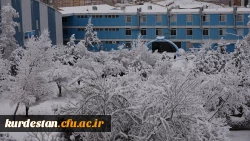 روز برفی دانشگاه  7