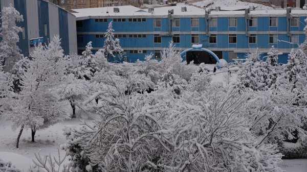 روز برفی دانشگاه  7