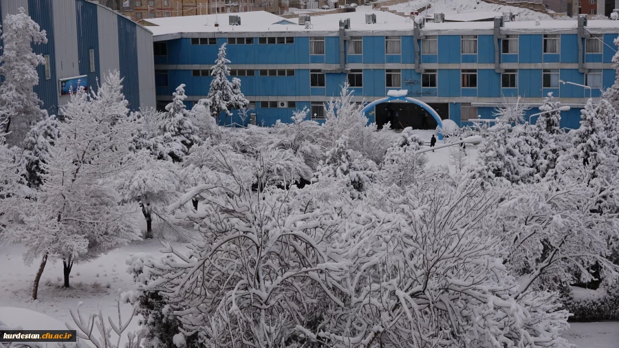 روز برفی دانشگاه  7