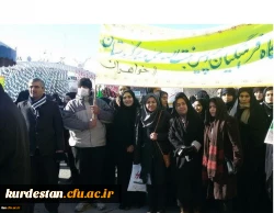 498895_3037910398_916_712