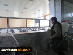 ضد عفونی مستمر فضاهای مختلف دانشگاه فرهنگیان کردستان ادامه دارد 7