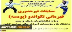 مسابقات قهرمانی تکواندو در بخش پومسه (دختر و پسر) 2