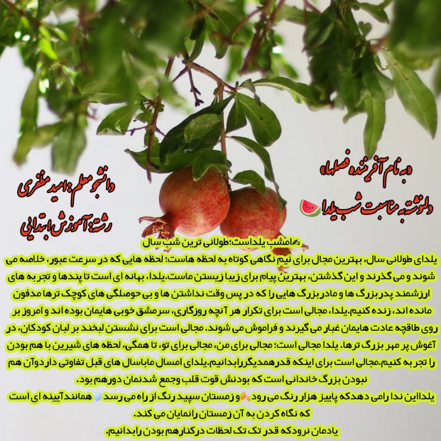 اعلام نتایج
مسابقه ویژه شب یلدای کرونایی 8