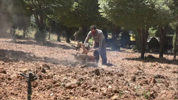 افزایش سرانه فضای سبز محوطه آموزش وسراهای دانشجویی 5