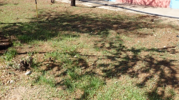 افزایش سرانه فضای سبز محوطه آموزش وسراهای دانشجویی 7