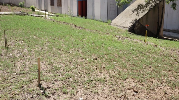 افزایش سرانه فضای سبز محوطه آموزش وسراهای دانشجویی 8