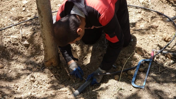 طراحی و اجرایی سیستم آبیاری قطره ای 3