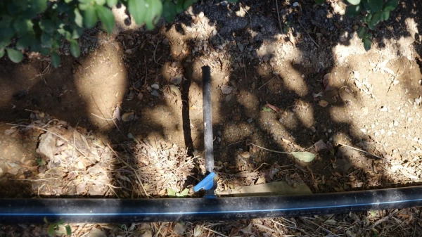 طراحی و اجرایی سیستم آبیاری قطره ای 6