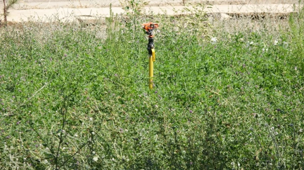 طراحی و اجرایی سیستم آبیاری قطره ای 8