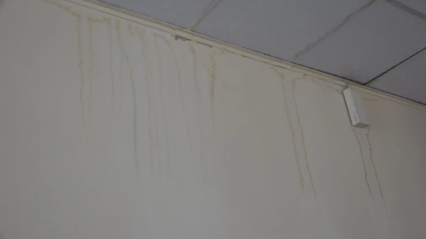 لکه گیری، رنگ آمیزی و آماده سازی سراهای دانشجویی 7