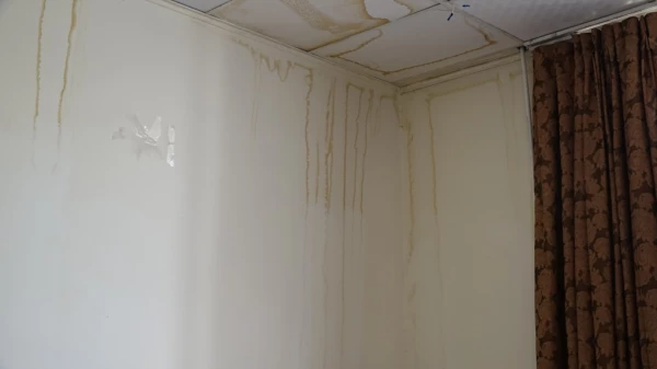 لکه گیری، رنگ آمیزی و آماده سازی سراهای دانشجویی 9