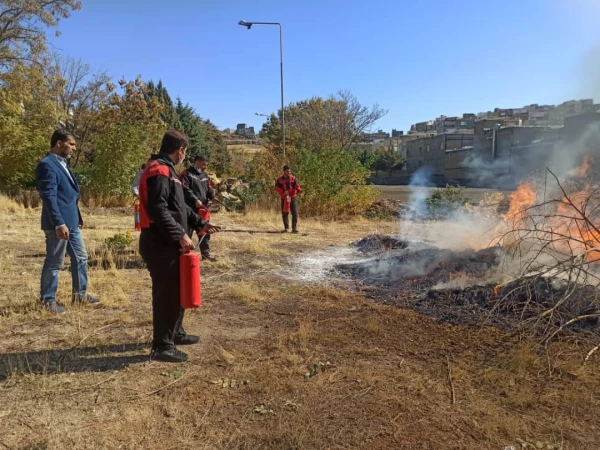 WhatsApp Image 2021-11-09 at 11.37.37