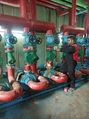 WhatsApp Image 2021-11-09 at 11.37.58