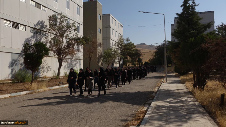 پیاده روی به مناسبت گرامیداشت هفته وحدت و هفته تربیت بدنی 3