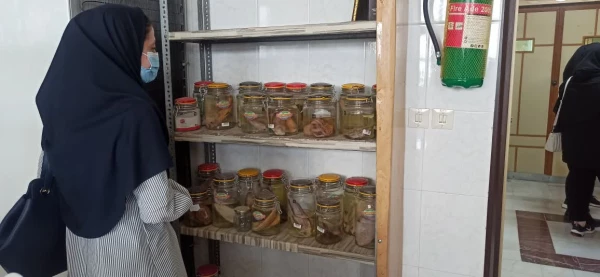 اردوی راهیان پیشرفت دانشگاه فرهنگیان استان کردستان 8