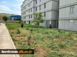 نظافت و پاکسازی اتاق ها و محوطه سراهای دانشجویی 4