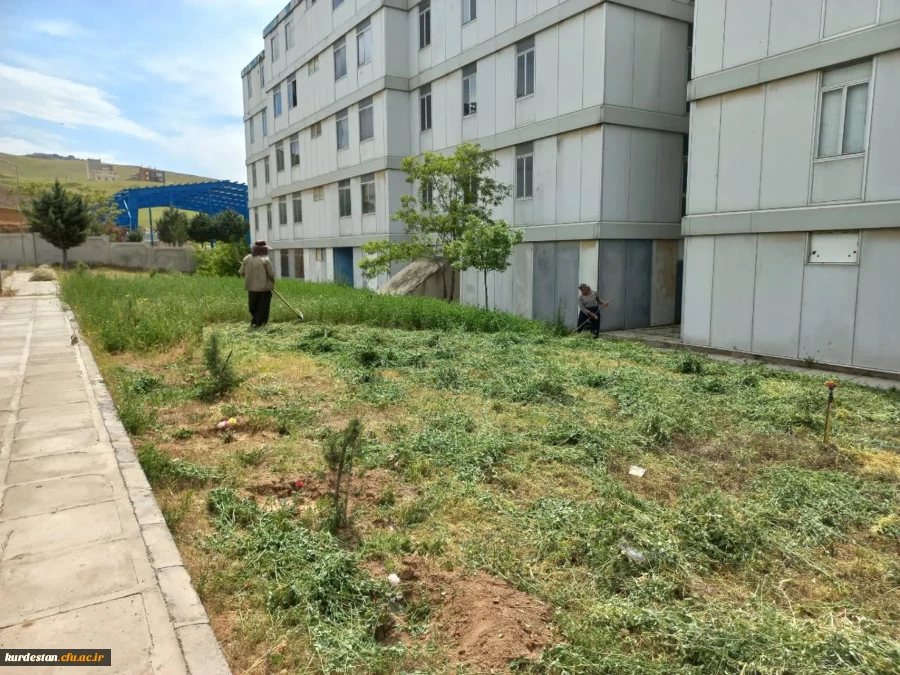 نظافت و پاکسازی اتاق ها و محوطه سراهای دانشجویی 4