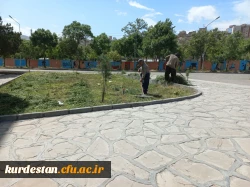 نظافت و پاکسازی اتاق ها و محوطه سراهای دانشجویی 6