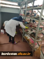 نظافت و پاکسازی اتاق ها و محوطه سراهای دانشجویی 7