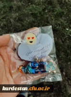 طرح هدیه دادن(بسته فرهنگی) به افراد با حجاب در روز ملی حجاب و عفاف
 4