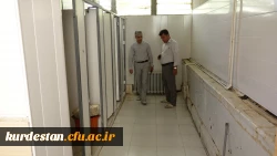 بازید دکتر سید شهاب ارکیان از آمادگی سراهای دانشجویی پردیس شهید مدرس سنندج 4