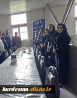 جشنواره غذای سالم پردیس بنت الهدی صدر سنندج 4